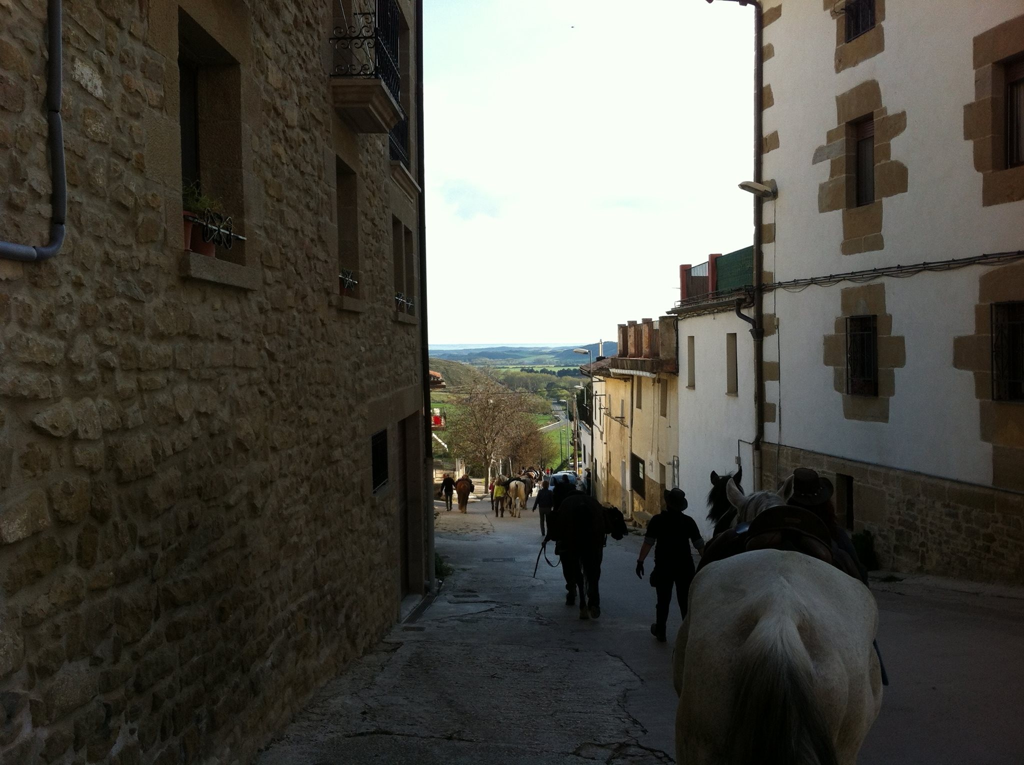 Camino del Rocío a través de Navarra